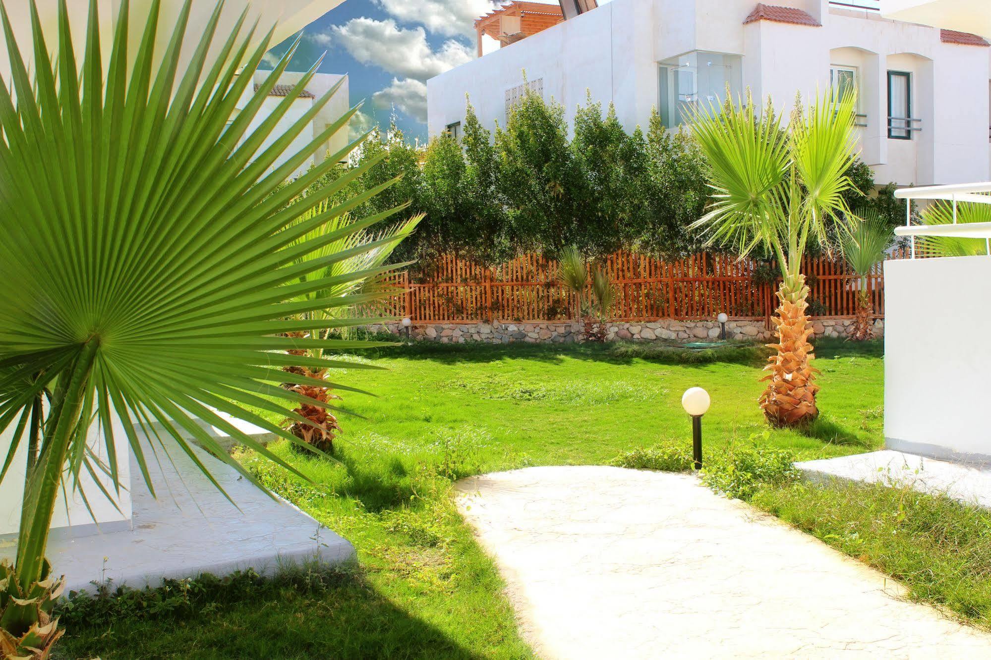 Viking Club Hotel Sharm El Sheikh Экстерьер фото